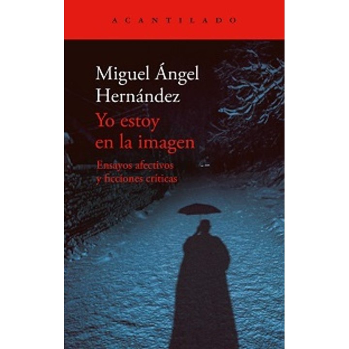 YO ESTOY EN LA IMAGEN de MIGUEL ÁNGEL HERNANDEZ