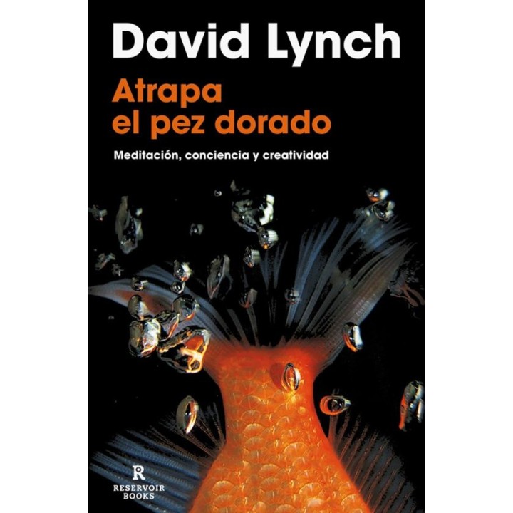 ATRAPA EL PEZ DORADO de DAVID LYNCH