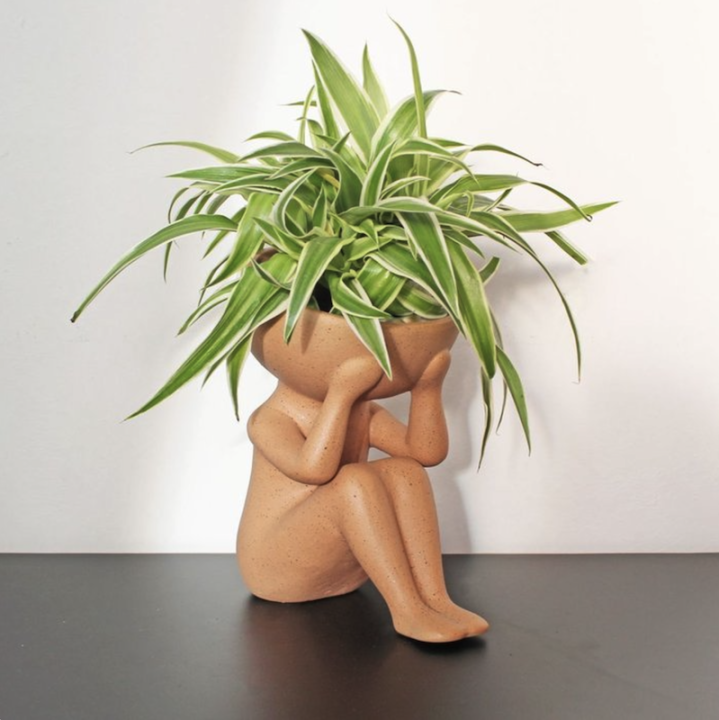MACETERO PLANTAS EN MI CABEZA