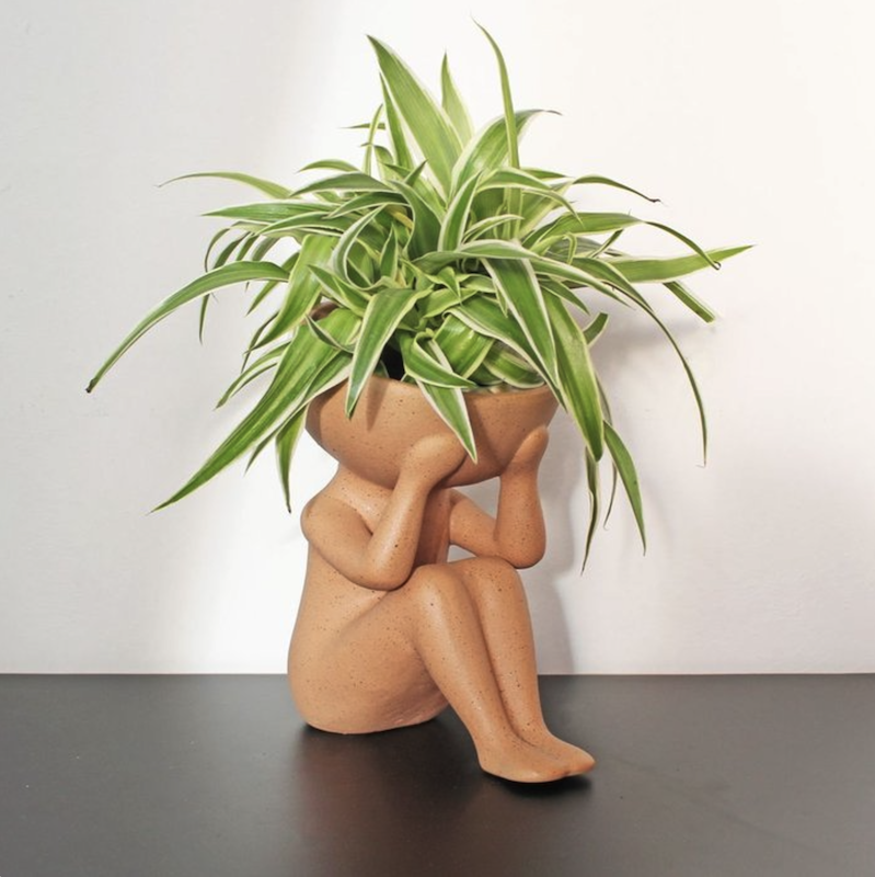 MACETERO PLANTAS EN MI CABEZA