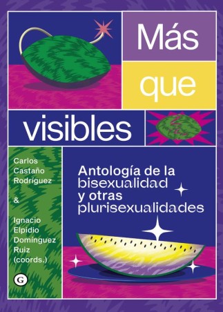 Más que visibles: Ensayo sobre bisexualidad y plurisexualidad