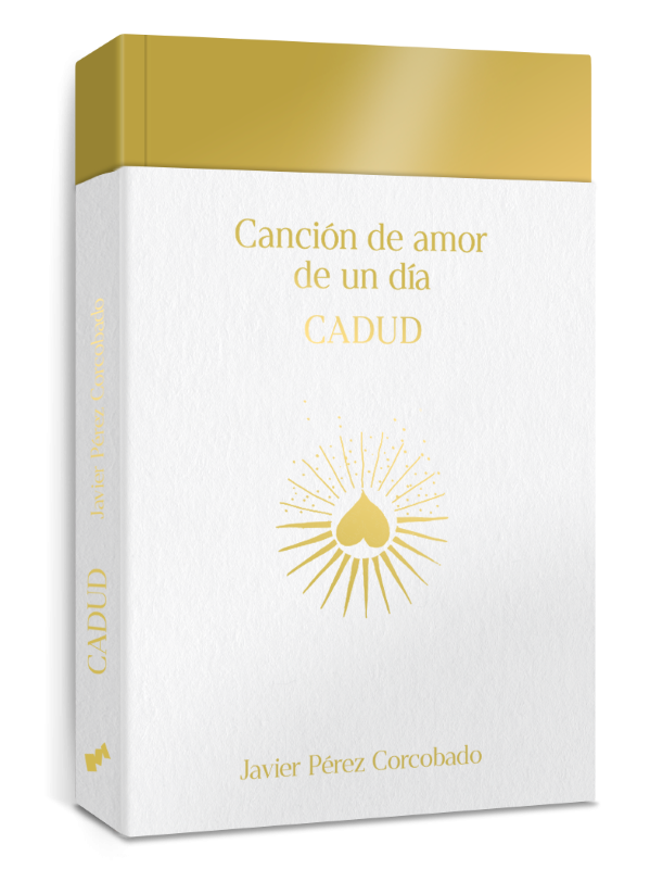 Canción de amor de un día de Corcobado: 24 horas que reinventan la música