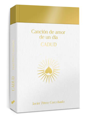 Canción de amor de un día de Corcobado: 24 horas que reinventan la música