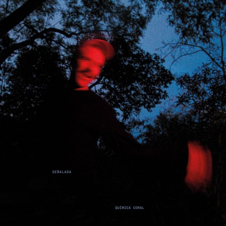 SEÑALADA, QUÍMICA CORAL (VINILO)
