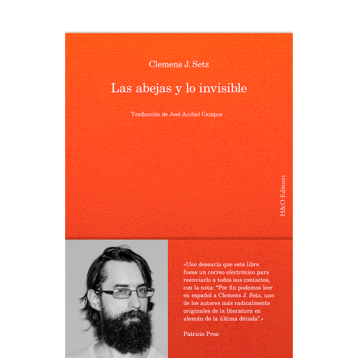 LAS ABEJAS Y LO INVISIBLE de CLEMENS J. SETZ