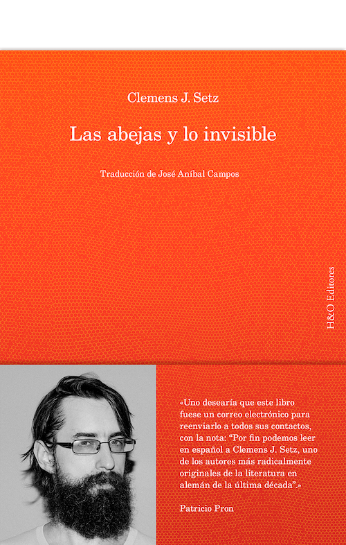 LAS ABEJAS Y LO INVISIBLE de CLEMENS J. SETZ