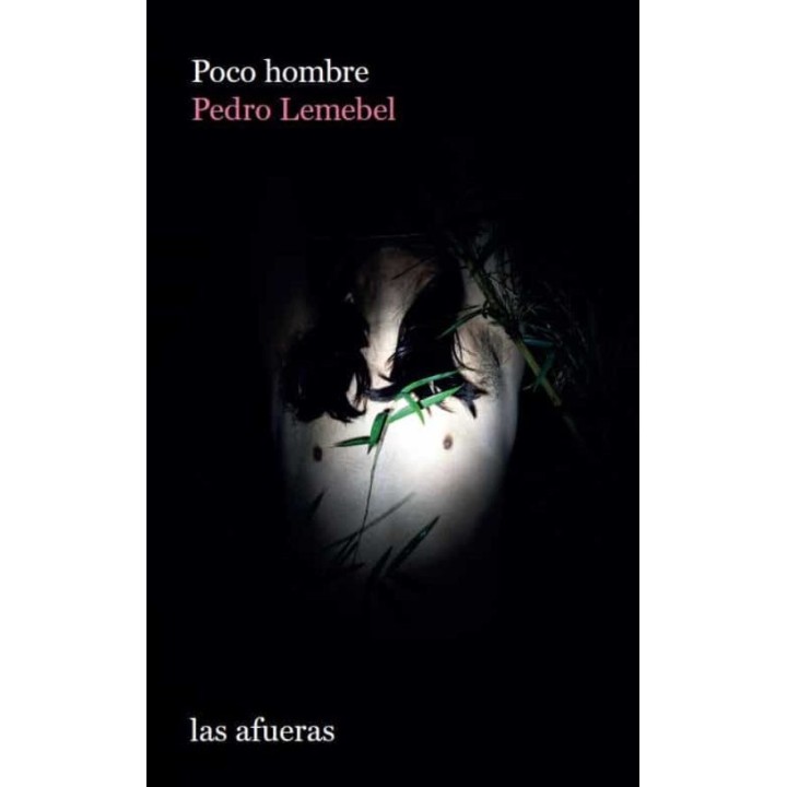 POCO HOMBRE de PEDRO LEMEBEL