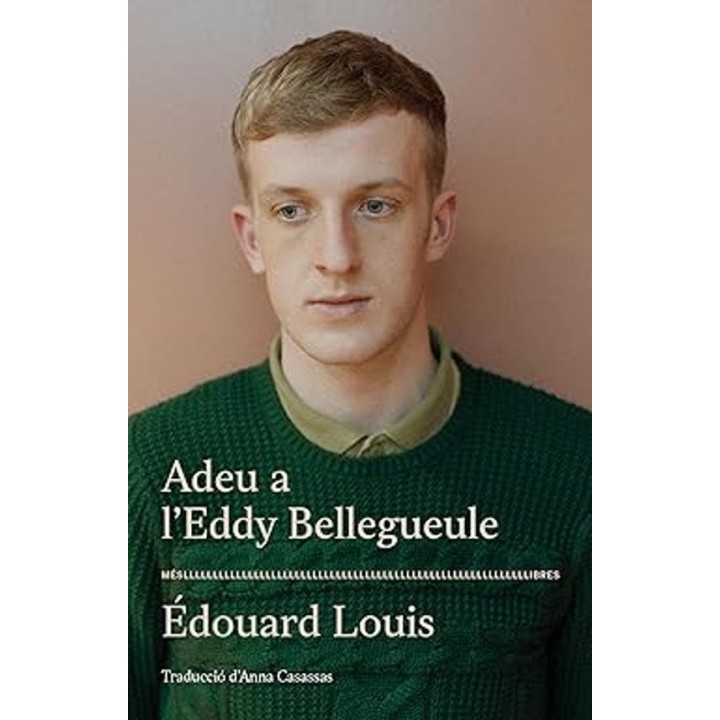 ADEU A L'EDDY BELLEGUEULE de ÉDOUARD LOUIS