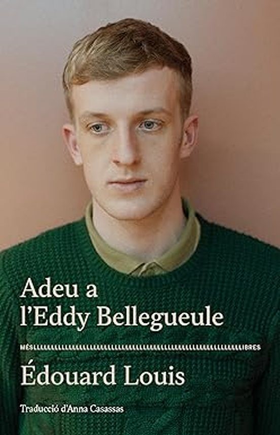 ADEU A L'EDDY BELLEGUEULE de ÉDOUARD LOUIS